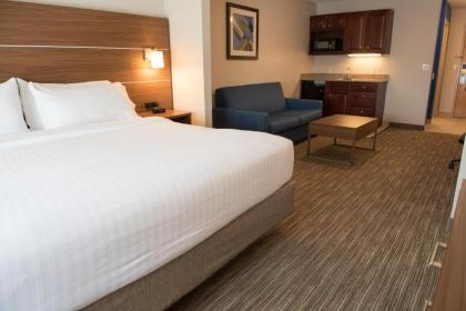 Holiday Inn Express Hotel & Suites Elkhart-South an IHG Hotel - image 18