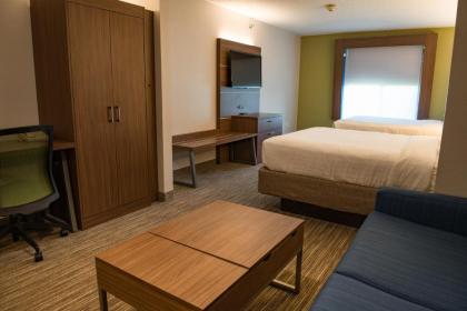 Holiday Inn Express Hotel & Suites Elkhart-South an IHG Hotel - image 3