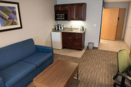 Holiday Inn Express Hotel & Suites Elkhart-South an IHG Hotel - image 6