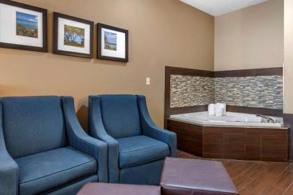 Comfort Suites North Elkhart - image 11