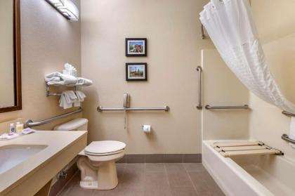 Comfort Suites North Elkhart - image 15