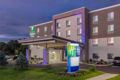 Holiday Inn Express & Suites - Elkhart North an IHG Hotel - image 10