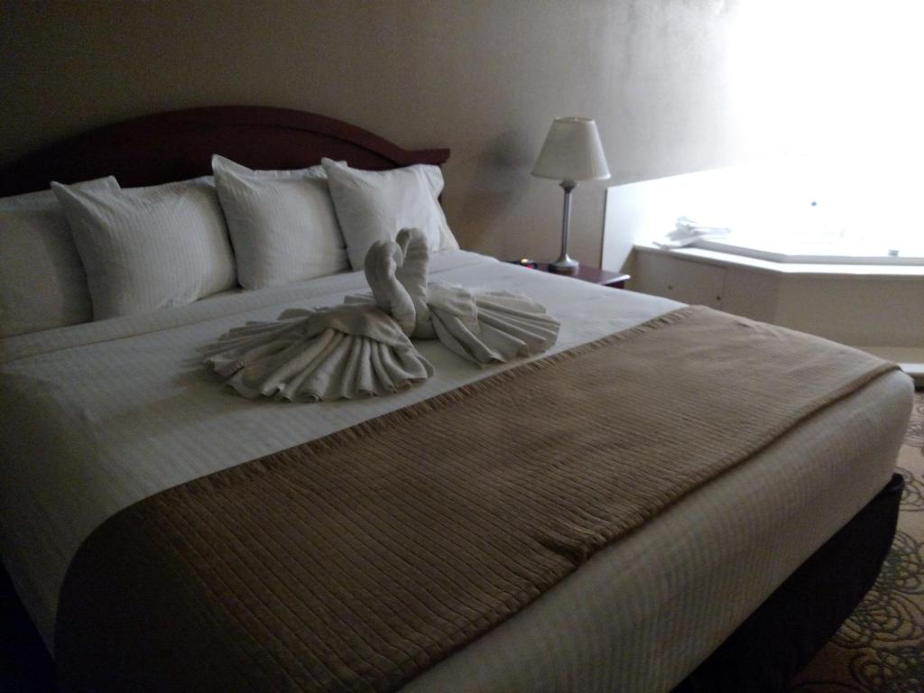 Best Western Elko Inn - image 3