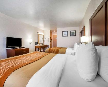 Comfort Inn Elko - image 12