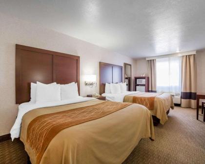 Comfort Inn Elko - image 13