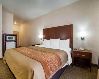 Comfort Inn Elko - image 15