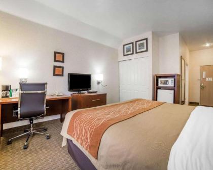 Comfort Inn Elko - image 5