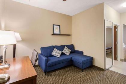 Comfort Suites Columbia Gateway - image 13