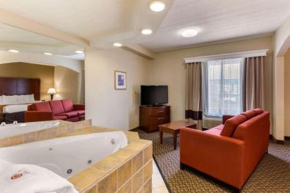 Comfort Suites Columbia Gateway - image 14