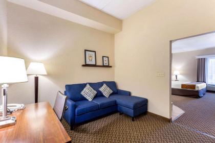 Comfort Suites Columbia Gateway - image 4