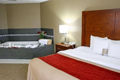 Comfort Inn Central University South - image 15