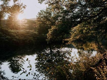 Tentrr - Forest with a Trout Creek - image 7