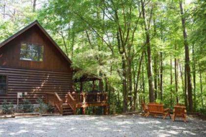 Holiday homes in Ellijay Georgia