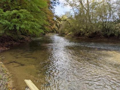 Ellijay River Cottage Star5vacations - image 6