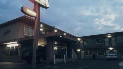 Palms Motel - image 8