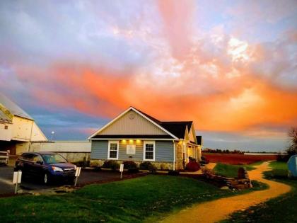 Hertzog Homestead Bed & Breakfast - image 13