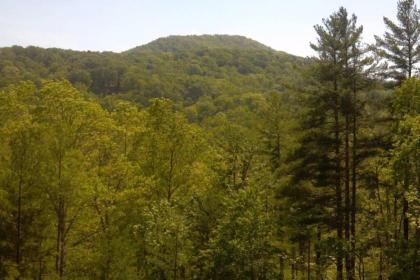 Cherokee Dream Mountain Lodge - image 13