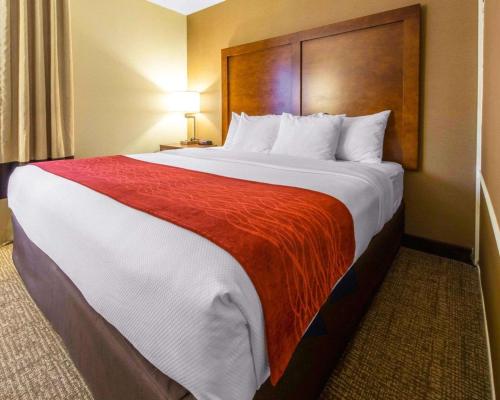 Comfort Inn & Suites Erie - image 2