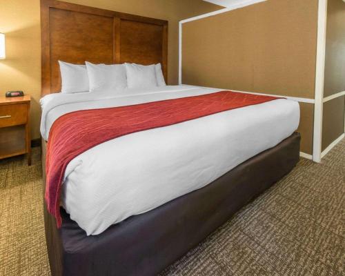 Comfort Inn & Suites Erie - image 3