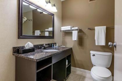 Quality Inn & Suites - image 13