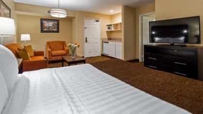 Best Western Escondido Hotel - image 12