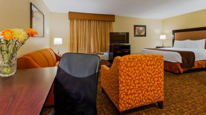 Best Western Escondido Hotel - image 14