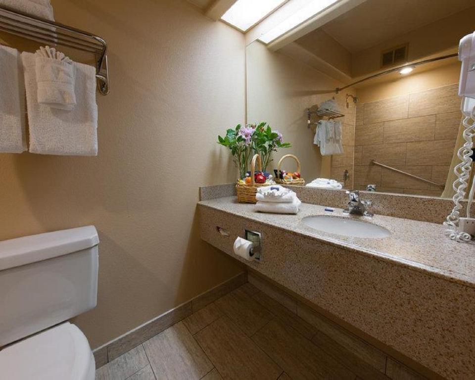 Best Western Escondido Hotel - image 2