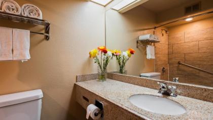 Best Western Escondido Hotel - image 9