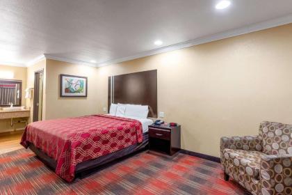 Econo Lodge Inn & Suites Escondido Downtown - image 6