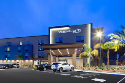 SpringHill Suites by Marriott Escondido Downtown - image 9