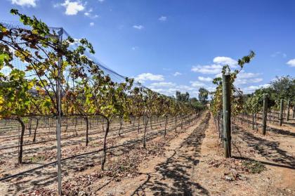 Escondido Home on 6-Acre Vineyard Estate with Views! - image 14