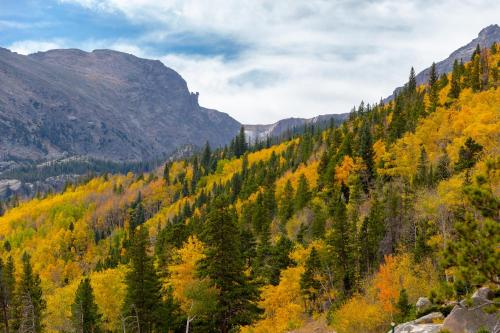 Longs Peak Cabin - image 3