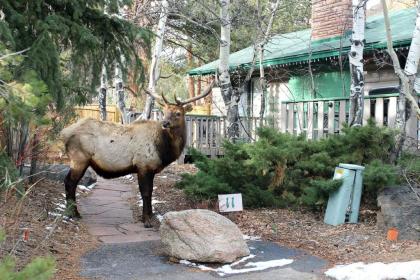 Sunnyside Knoll with Hot Tubs by Rocky Mountain Resorts - image 3