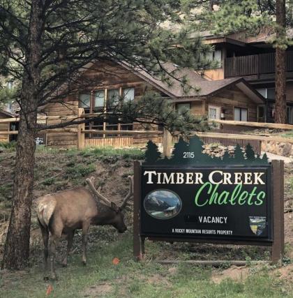 Timber Creek Chalets by Rocky Mountain Resorts - image 4