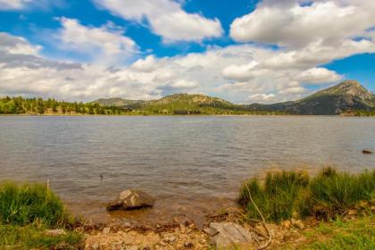 Peaceful Pines in the Rockies - image 17