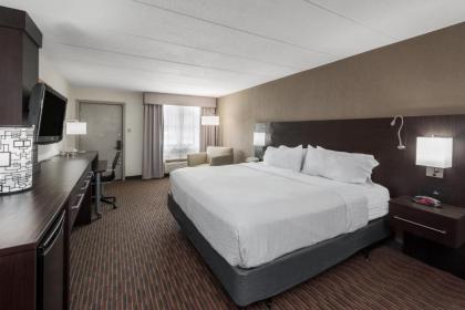 Holiday Inn At Six Flags Saint Louis an IHG Hotel - image 12