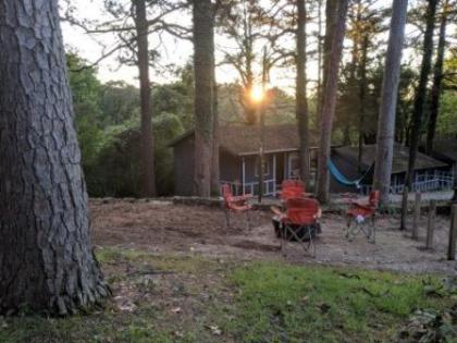 Loblolly Pines Adventure Cabin 3 - King - image 3