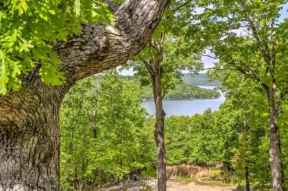 Private Eureka Springs Cabin with Beaver Lake Views! - image 5