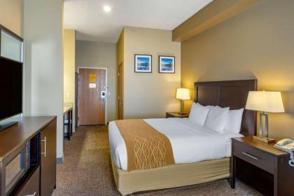 Comfort Inn Evanston I 80