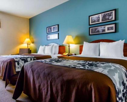 Sleep Inn & Suites Evansville - image 2