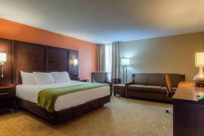 Comfort Inn & Suites Evansville Airport - image 11