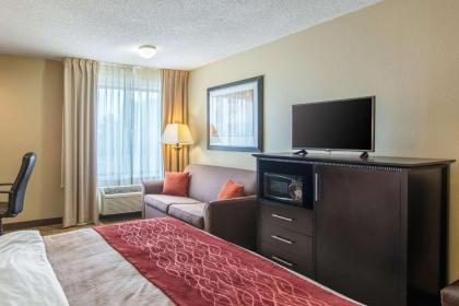 Comfort Inn East Evansville - image 4