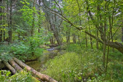 Secluded Log Cabin in NW Michigan with Fire Pit and Deck - image 10