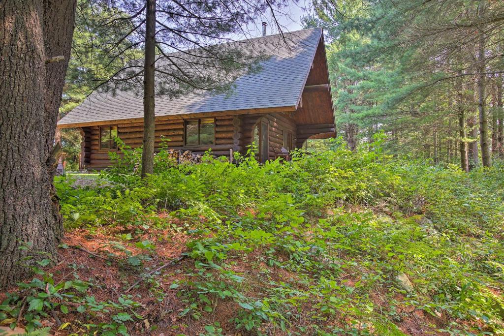 Secluded Log Cabin in NW Michigan with Fire Pit and Deck - image 2