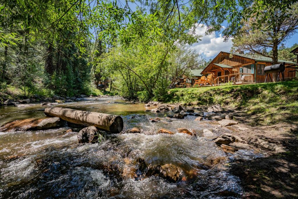 Colorado Bear Creek Cabins - main image