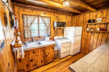 Colorado Bear Creek Cabins - image 6