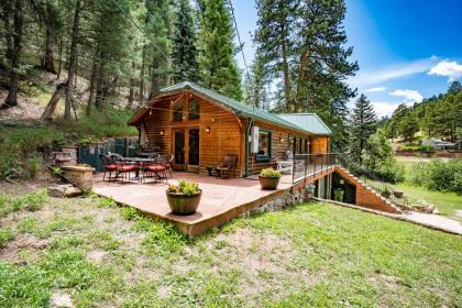 Colorado Bear Creek Cabins - image 9