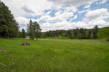 Modern Evergreen Cabin on 35 Acres with Views! - image 14