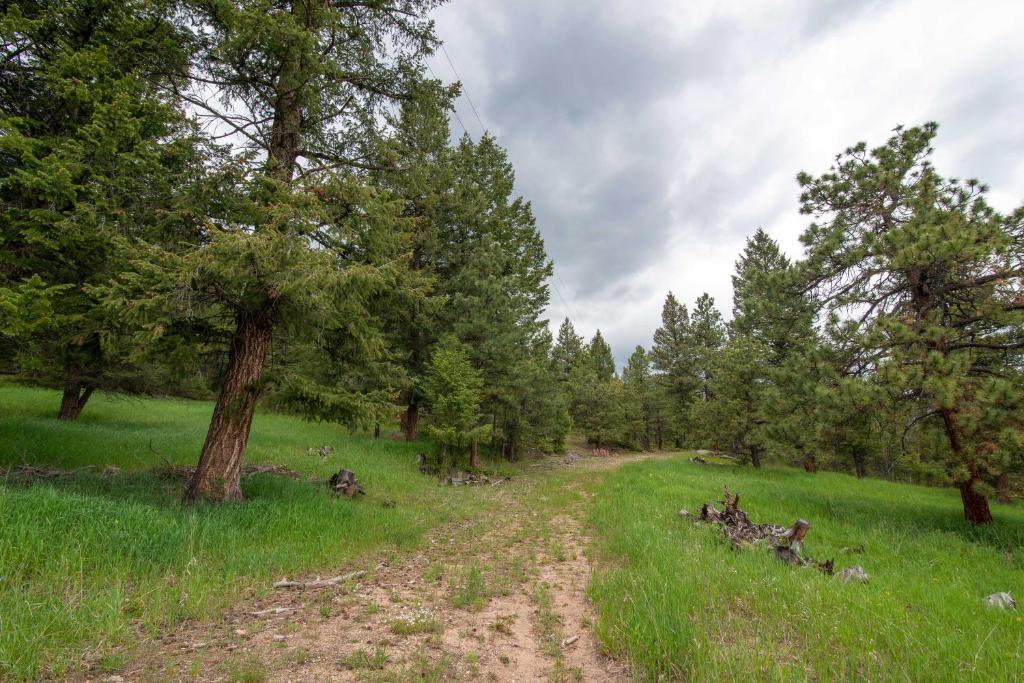 Modern Evergreen Cabin on 35 Acres with Views! - image 3