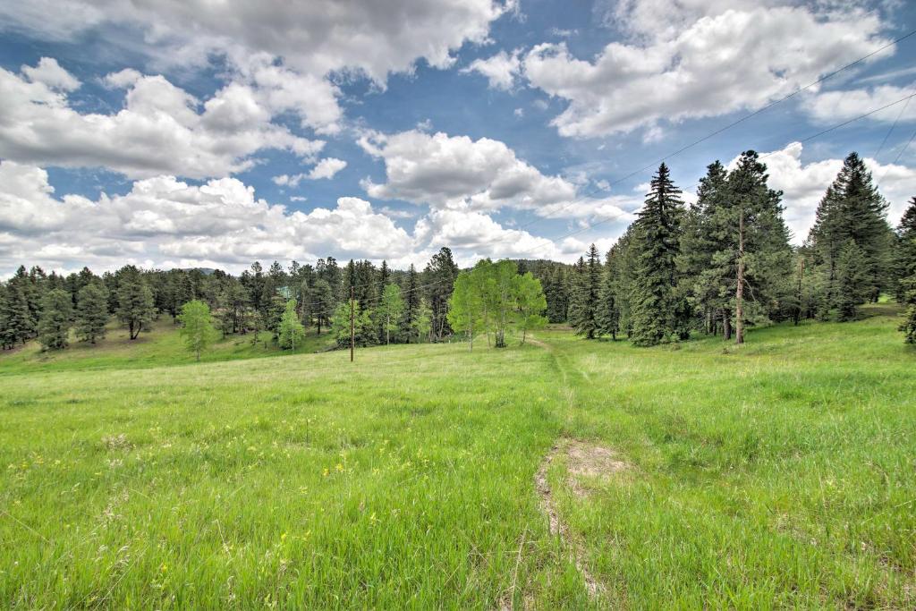 Modern Evergreen Cabin on 35 Acres with Views! - image 7